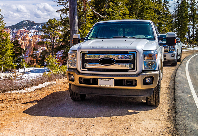 Pickup trucks parked roadside forest